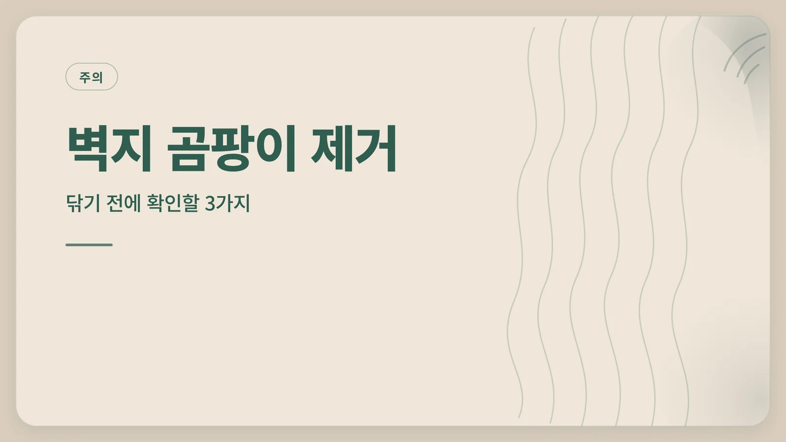 벽지 곰팡이 제거 안내 썸네일