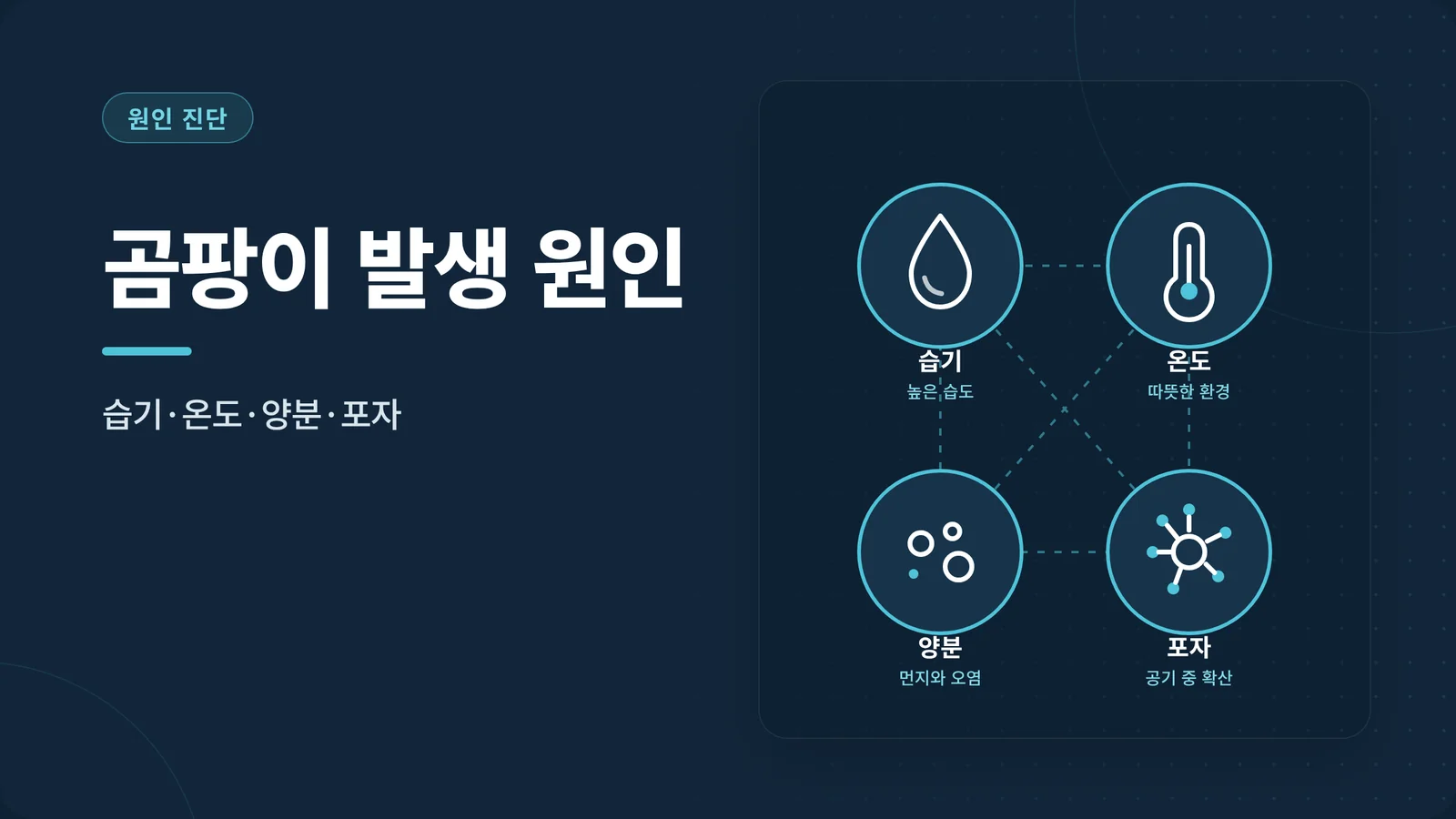 곰팡이 발생 원인 안내 썸네일