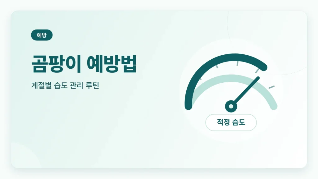 곰팡이 예방법 안내 썸네일