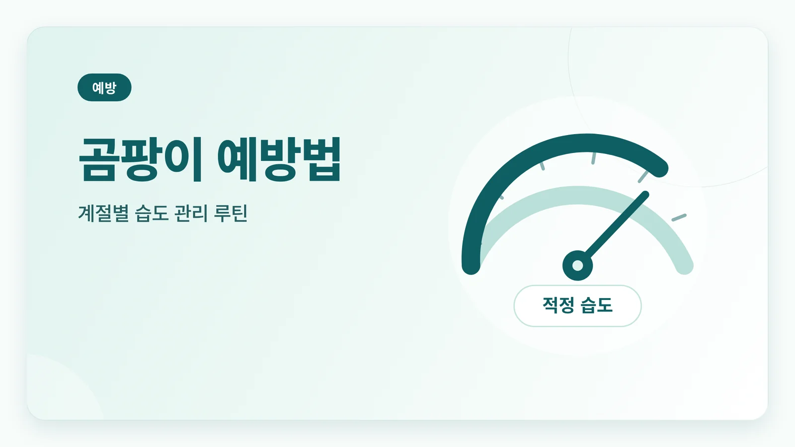 곰팡이 예방법 안내 썸네일